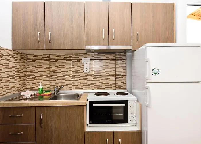 公寓 Anna Pousi & 奥马斯帕纳吉亚斯