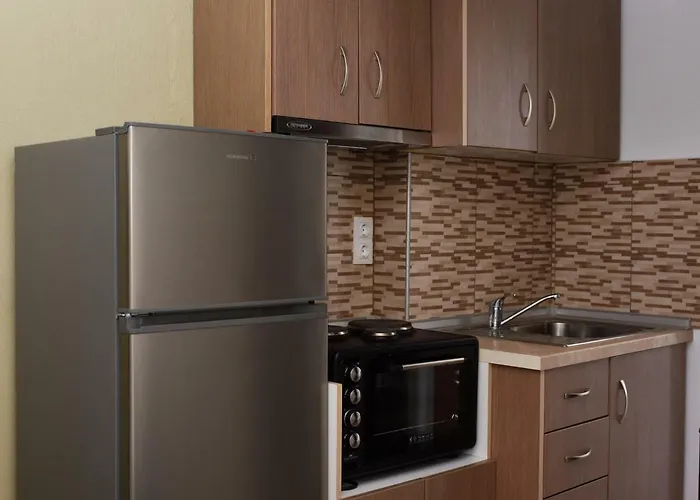 Anna Pousi & 奥马斯帕纳吉亚斯